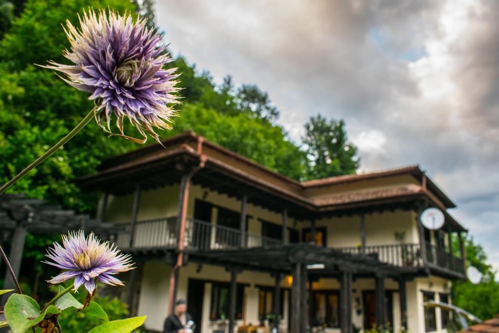 Guest House Verbena อาพริลซี ภายนอก รูปภาพ