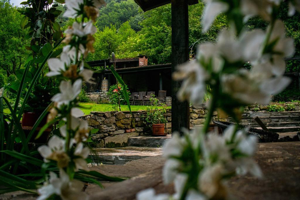 Guest House Verbena อาพริลซี ภายนอก รูปภาพ